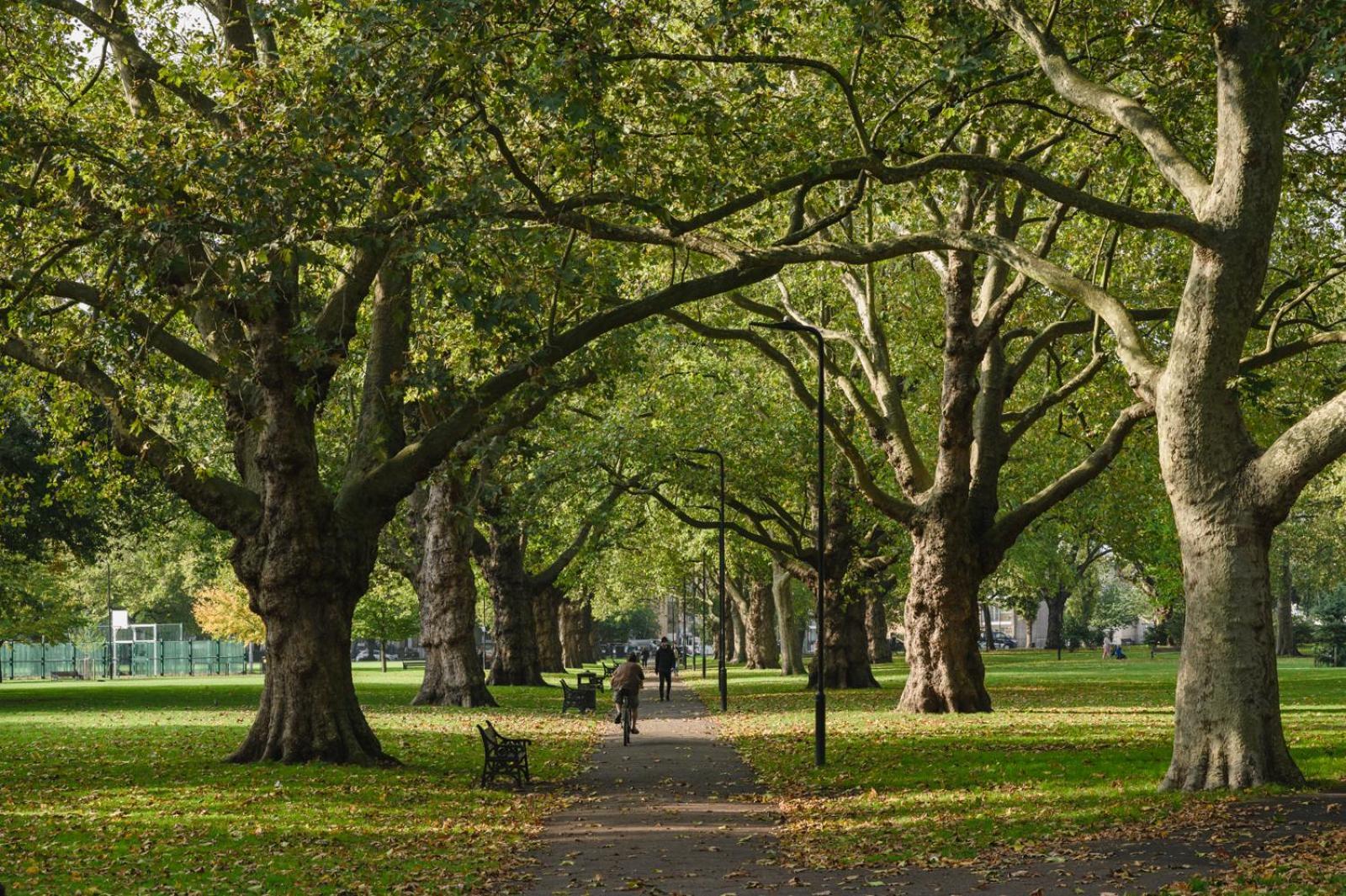 Lovely Apartment In Victoria Park Village London Exterior foto